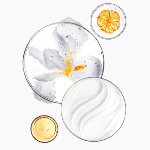 방 마지스트랄 - 뉴트리티브 | L'Oréal 파트너샵