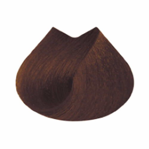 마지브라운 B5.05 - 마지패션 | L'Oréal Partner Shop