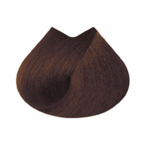 마지브라운 B5.04 - 마지패션 | L'Oréal Partner Shop