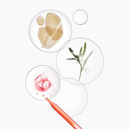 제네시스 세럼 - 제네시스 | L'Oréal 파트너샵