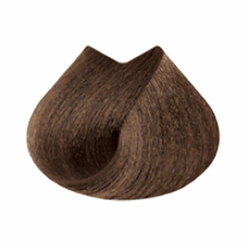 마지브라운 B5.0 - 마지패션 | L'Oréal 파트너샵