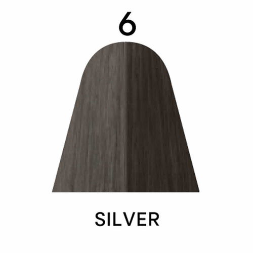 알루리아 6 실버 - 알루리아 | L'Oréal Partner Shop