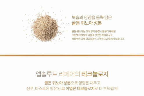 앱솔루트 리페어 샴푸 - 세리 엑스퍼트 | L'Oréal Partner Shop