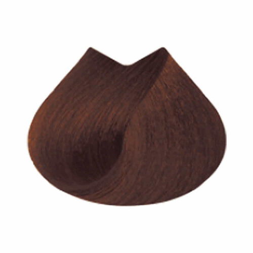 마지브라운 B7.05 - 마지패션 | L'Oréal Partner Shop