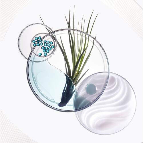 시몽 테르미크 - 포스 아키텍트 | L'Oréal 파트너샵