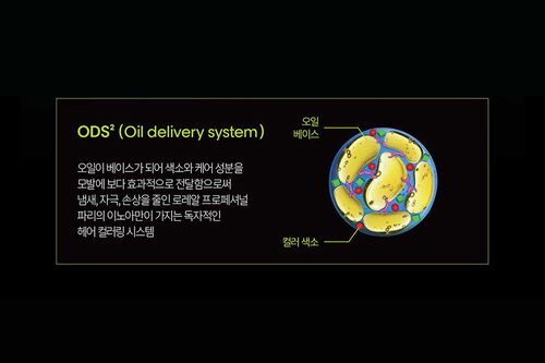 이노아 포스트 샴푸 - [NEW] 이노아 | L'Oréal 파트너샵