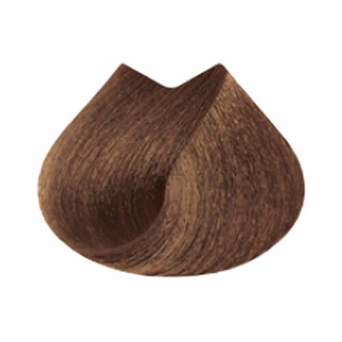 마지브라운 B7.03 - 마지패션 | L'Oréal Partner Shop